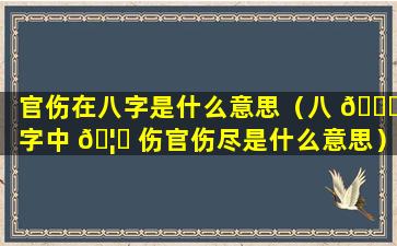 官伤在八字是什么意思（八 💐 字中 🦅 伤官伤尽是什么意思）